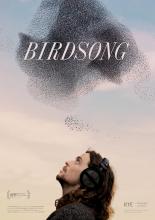 Das Poster zum Film: Eine Person mit Kopfhörern auf blickt gen Himmel. Dort ist ein riesiger Schwarm Vögel zu sehen.