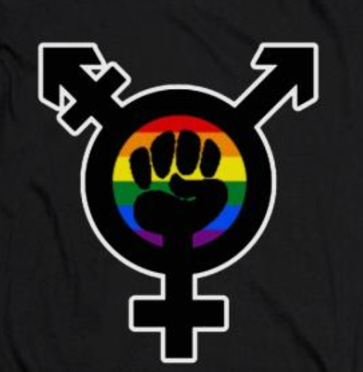 rainbow allgender fist