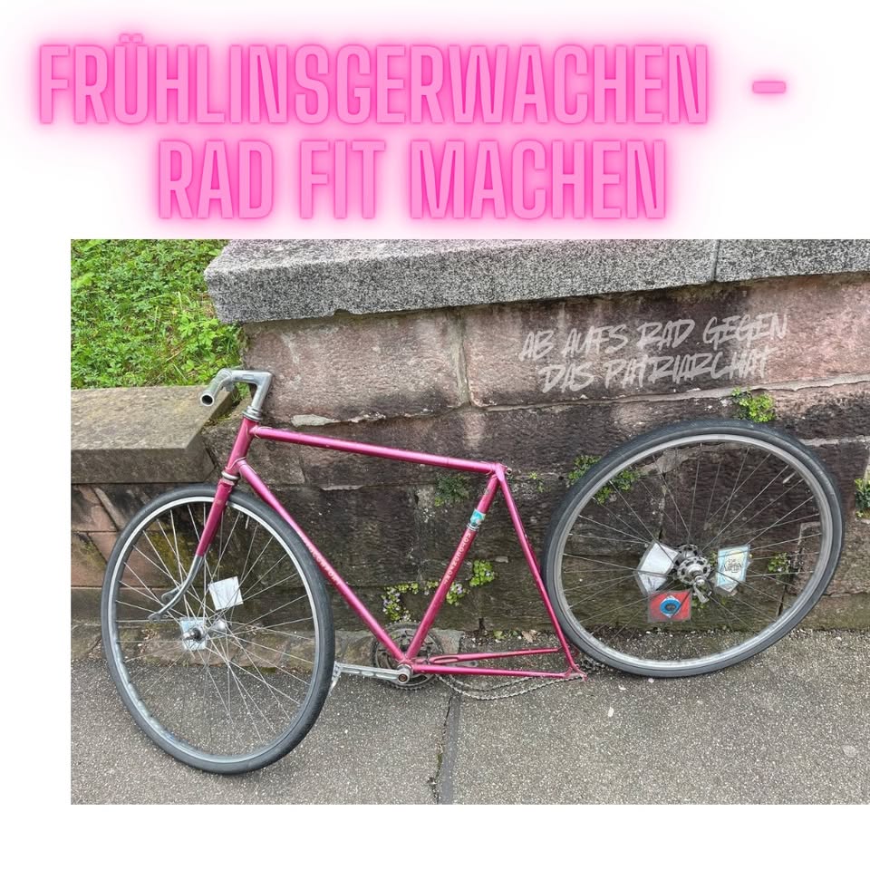 Frühlingserwachen - Rad fit machen w/ FRSG + Flickerei 