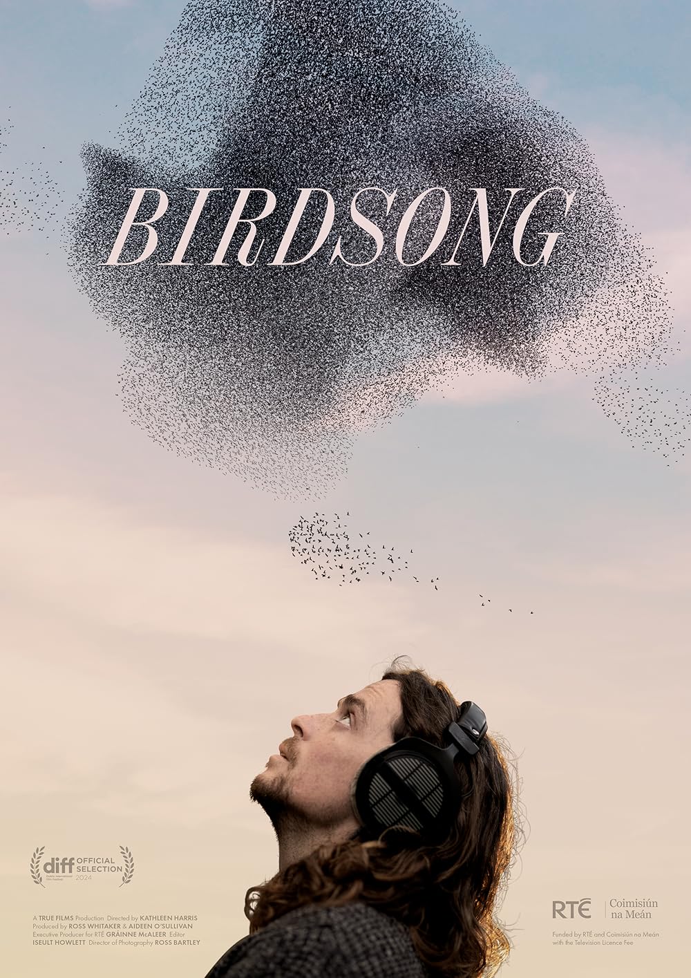 Das Poster zum Film: Eine Person mit Kopfhörern auf blickt gen Himmel. Dort ist ein riesiger Schwarm Vögel zu sehen.