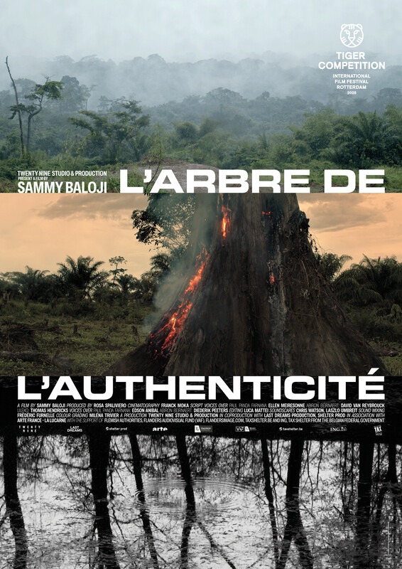 Das Poster zum Film: Eine Collage aus Aufnahmen des kongolesischen Regenwaldes und einem brennenden Baum