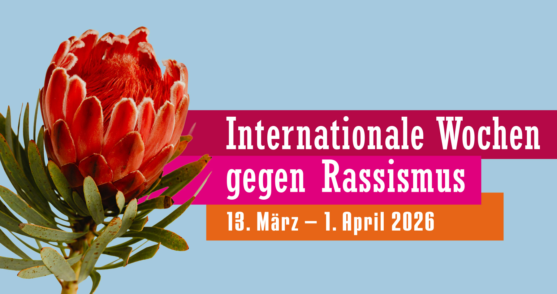 Rote Protea-Pflanze samt Text "Internationale Wochen gegen Rassismus, 13. März bis 1. April 2026"