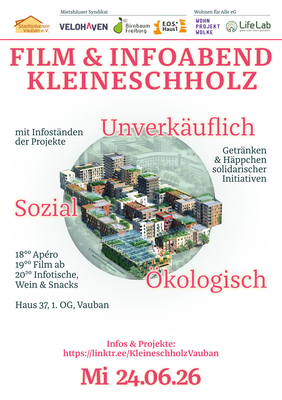 Plakat mit Eckdaten in rot-rosa schrift, in der Mitte ist ein kreisförmiger Ausschnitt auf das zukünftige Quartier Kleineschholz zu sehen