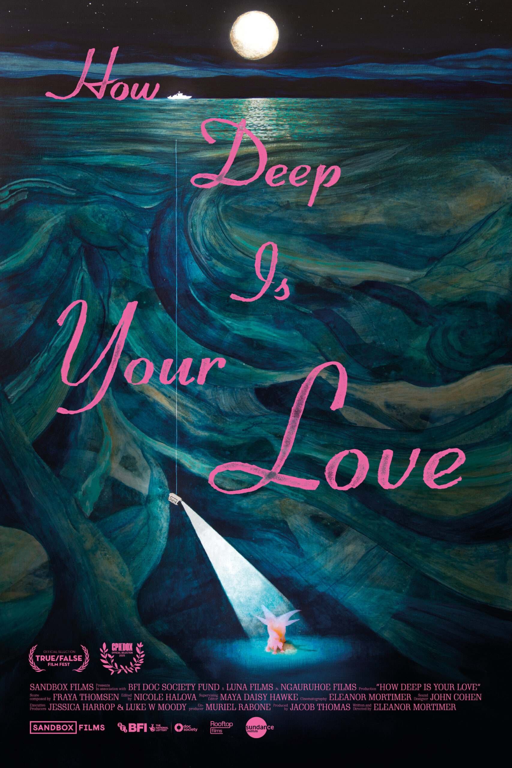 Das Poster zum Film: Die Zeichnung eines Ozeans bei Nacht. Ganz oben der Mond und ein Schiff. Im mittleren Teil dunkelblaues, unruhiges Wasser. Ganz unten ein rosafarbenes Tiefseewesen, das von einem Lichtkeil beschienen wird. 