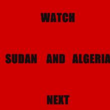 © Courtesy the artists